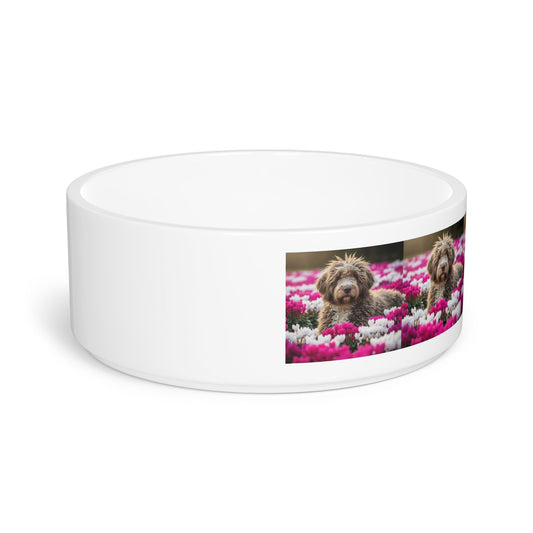 Bergamasco Sheepdog Pet Bowl
