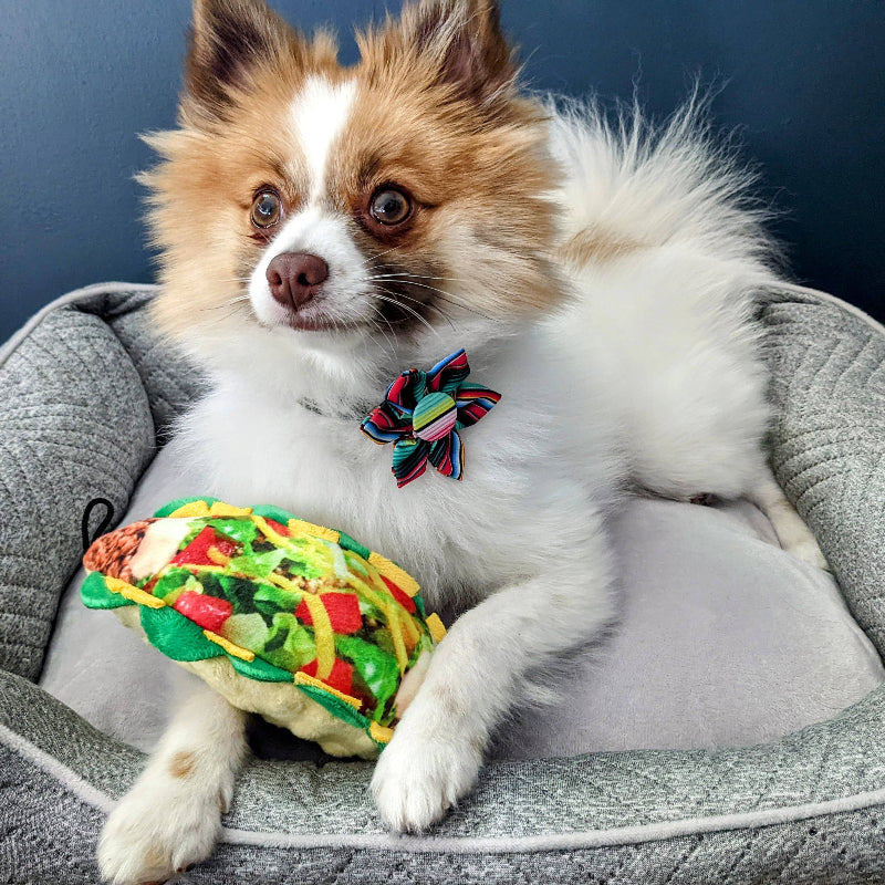 Serape Stripe Colorful Pinwheel Pet Collar Attachment -2 Sizes