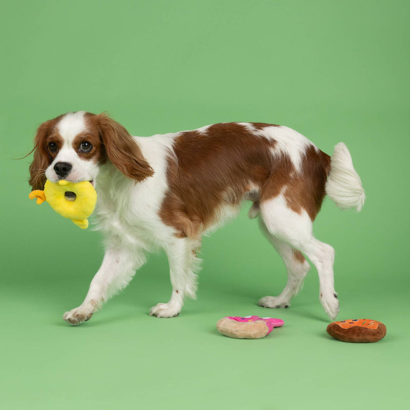 Easter Holey Donuts Small Dog Toy Set - 3 Pc