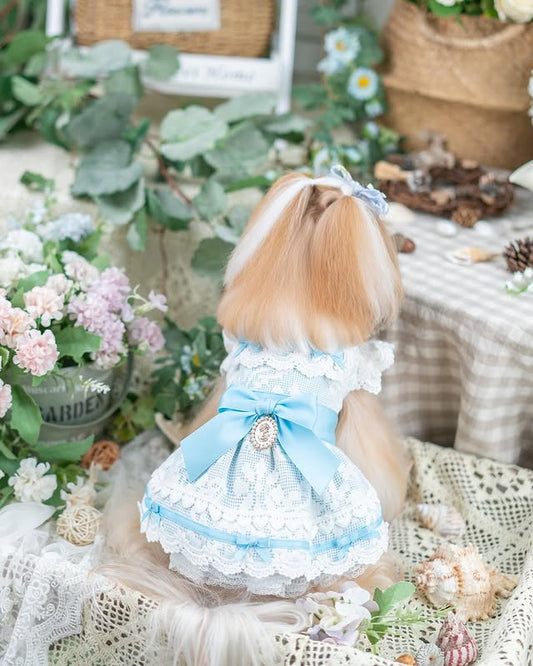 Luxury design dog dress vintage lace