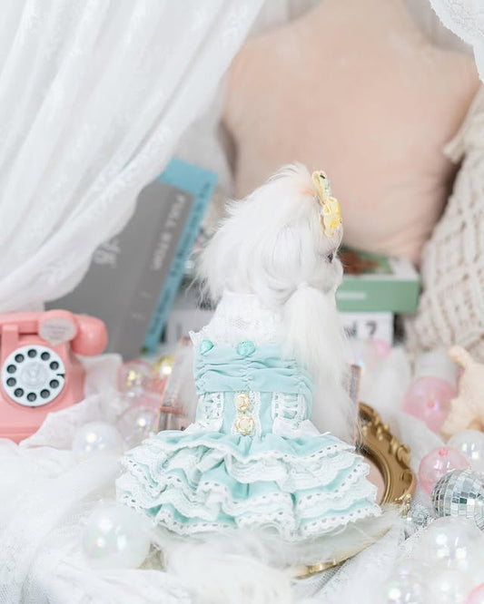 Luxury design dog dress velvet rose 2 colors