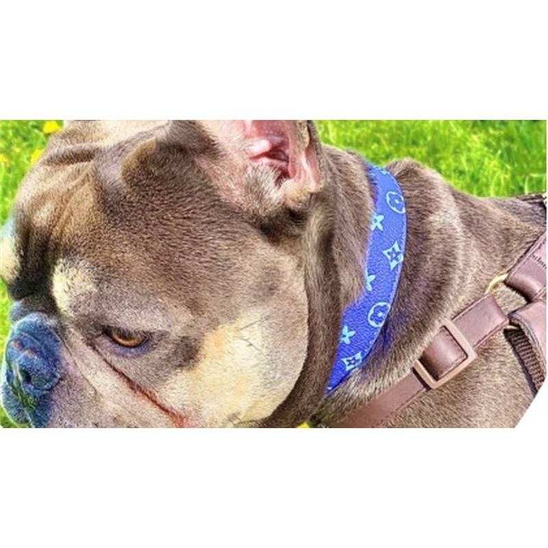 Lauren Luxury Blue Dog Collar