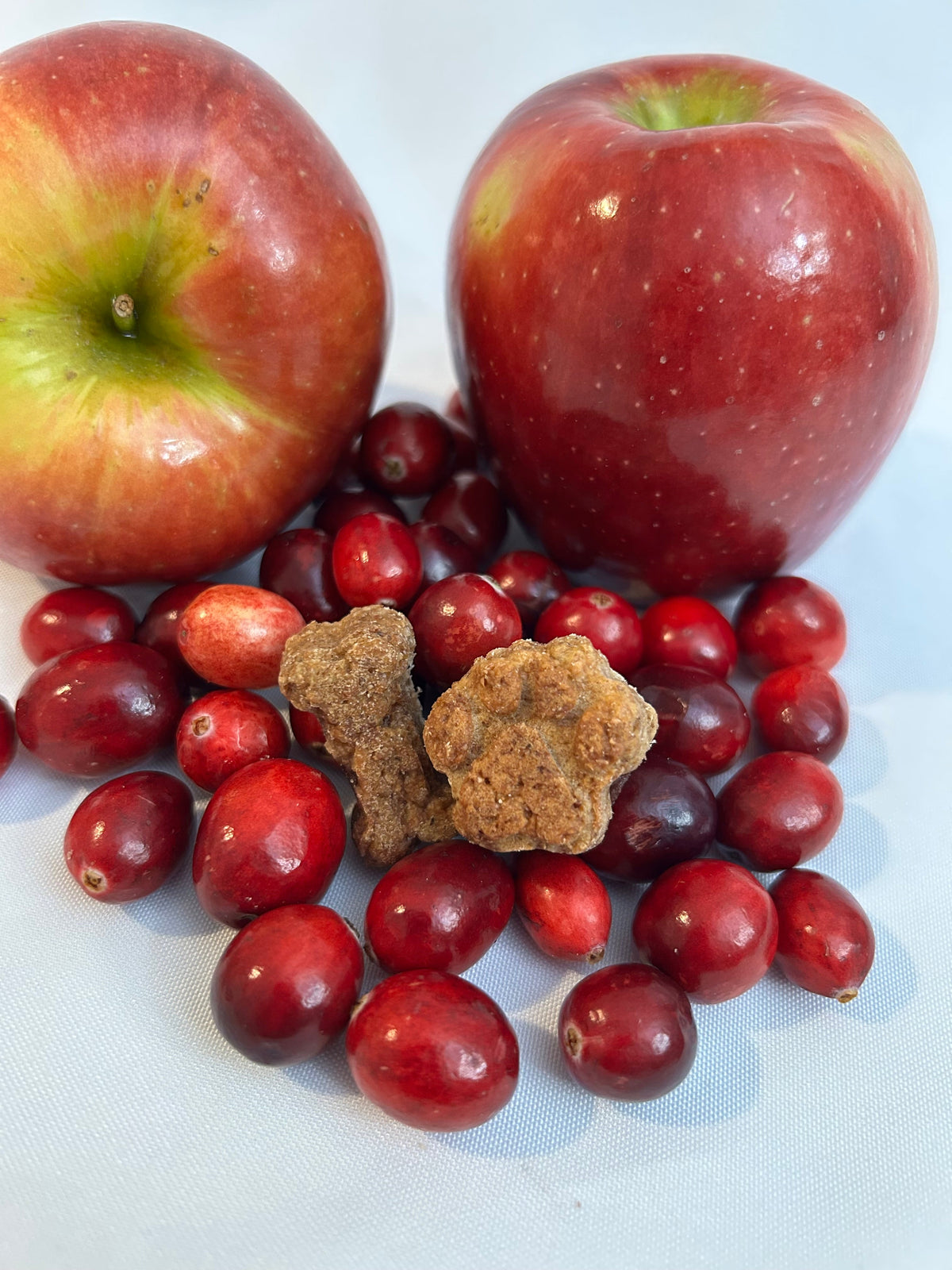 Dog Treats Treats Apple Cranberry 75 oz for Daily Use Essent - detail product image for dog treats