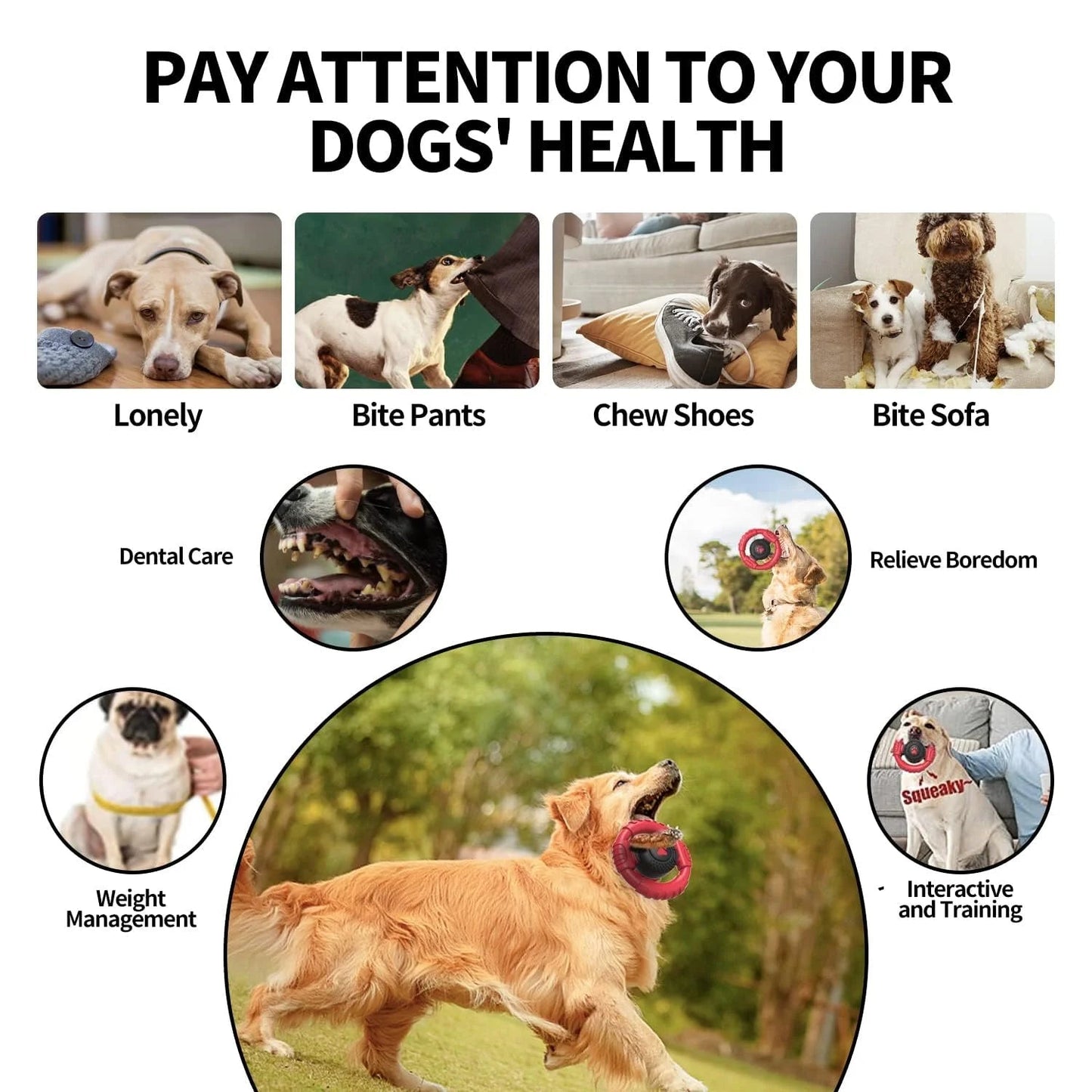 Dog Chew Toys For Aggressive Chewers Indestructible 🦴