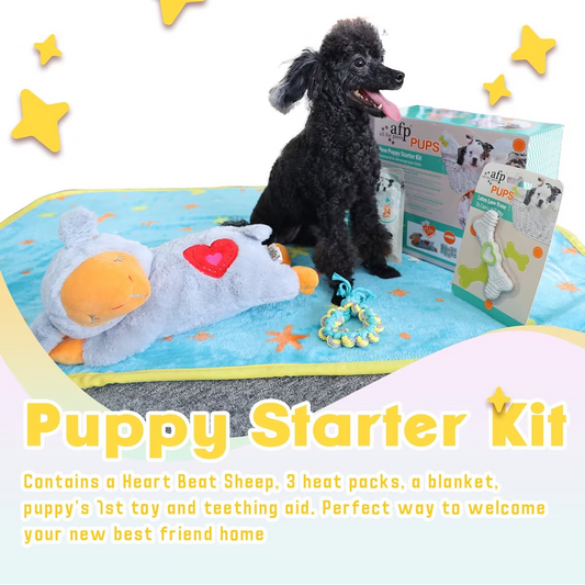 Pups - New Puppy Starter Kit