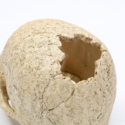 Skeleton Head Resin Skull Landscape Decoration Pet Water Plant Landscape Decoration