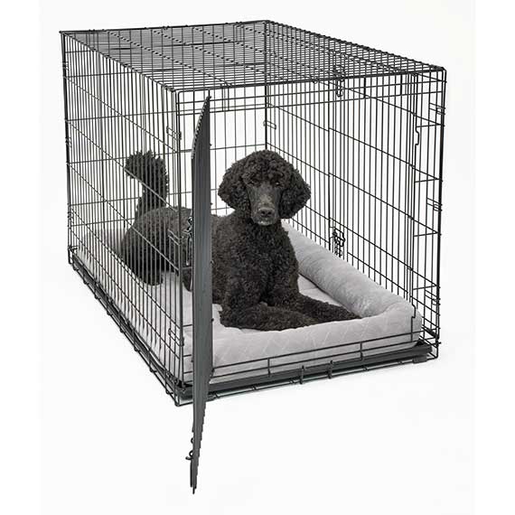Gray 48 inch dog bed in a wire crate providing comfort for a poodle inside