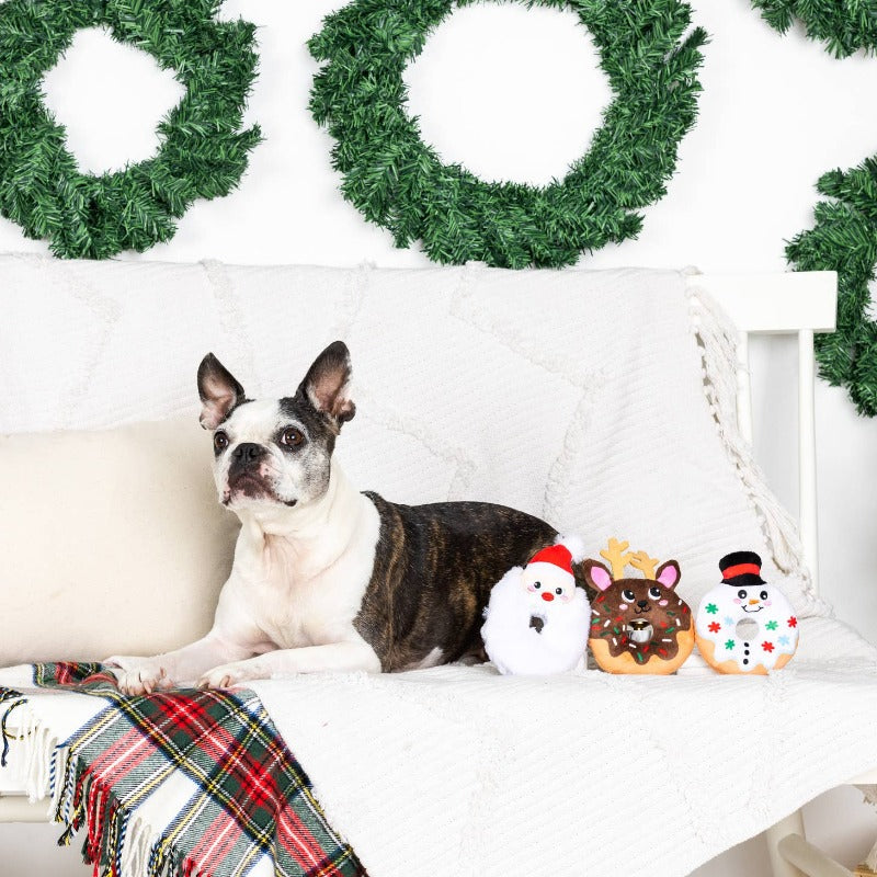 A Hole Lot of Holiday Fun Dog Toy Set - 3 Pc