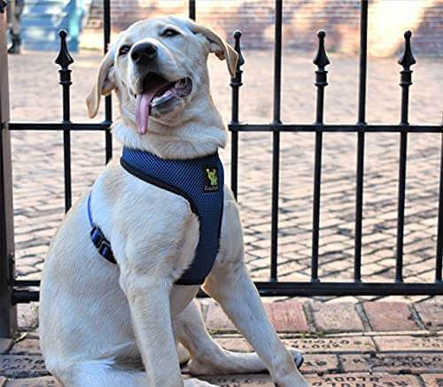 Dog Harness EcoBark Navy Harness Over-the-Head Soft Mesh - gallery product image for dog harness