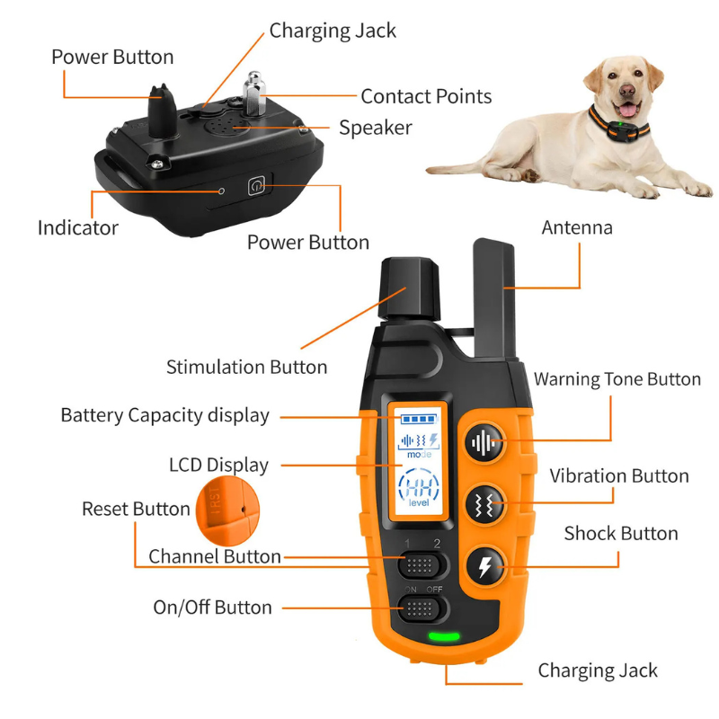 Dog Training Collar Waterproof Remote Shock 15.1oz ๐