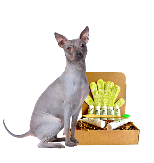4-HAIRLESS PETS *DOG RESTORATIVE KIT