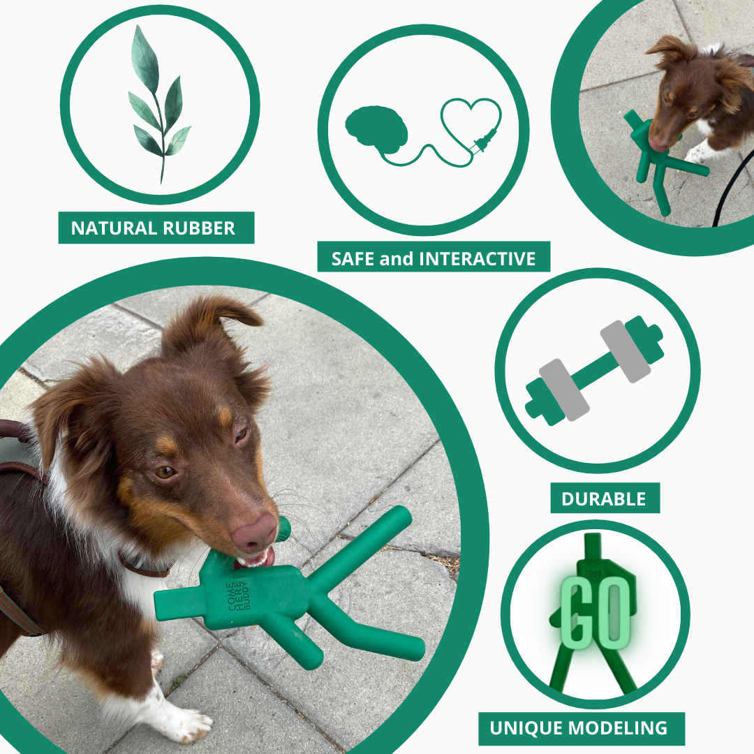 Dog Chew Toy - dog chew toys - Come Here Buddy
