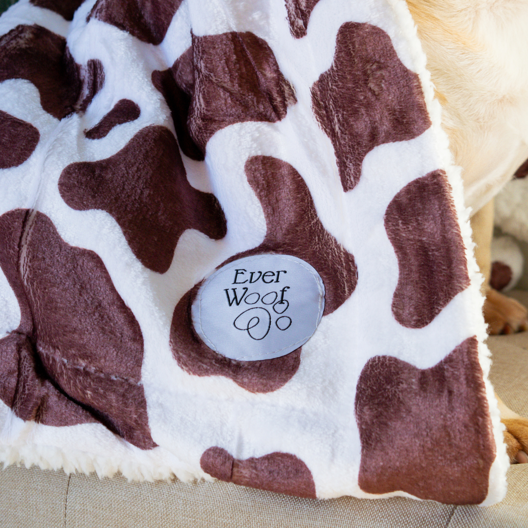 Dog Bed Chocolate Cow Blanket for Daily Use for Comfort - size and texture image for dog bed