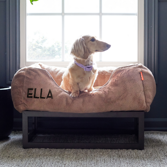 The FÜZI Elevated Dog Bed