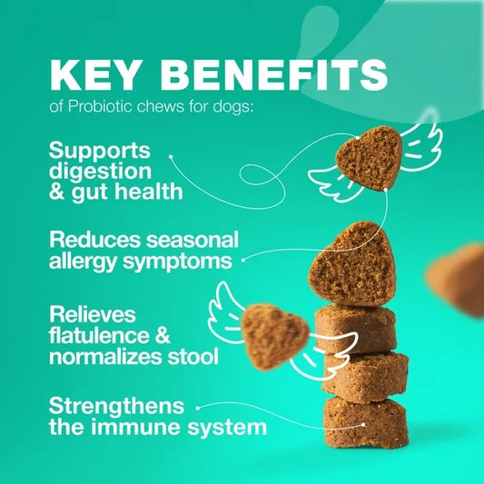 Dog Probiotic Chews - Digestive Enzymes for Gut & Immunity
