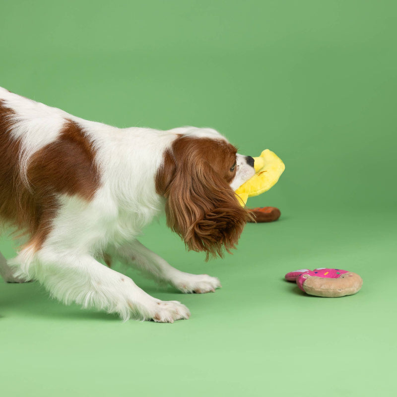 Easter Holey Donuts Small Dog Toy Set - 3 Pc