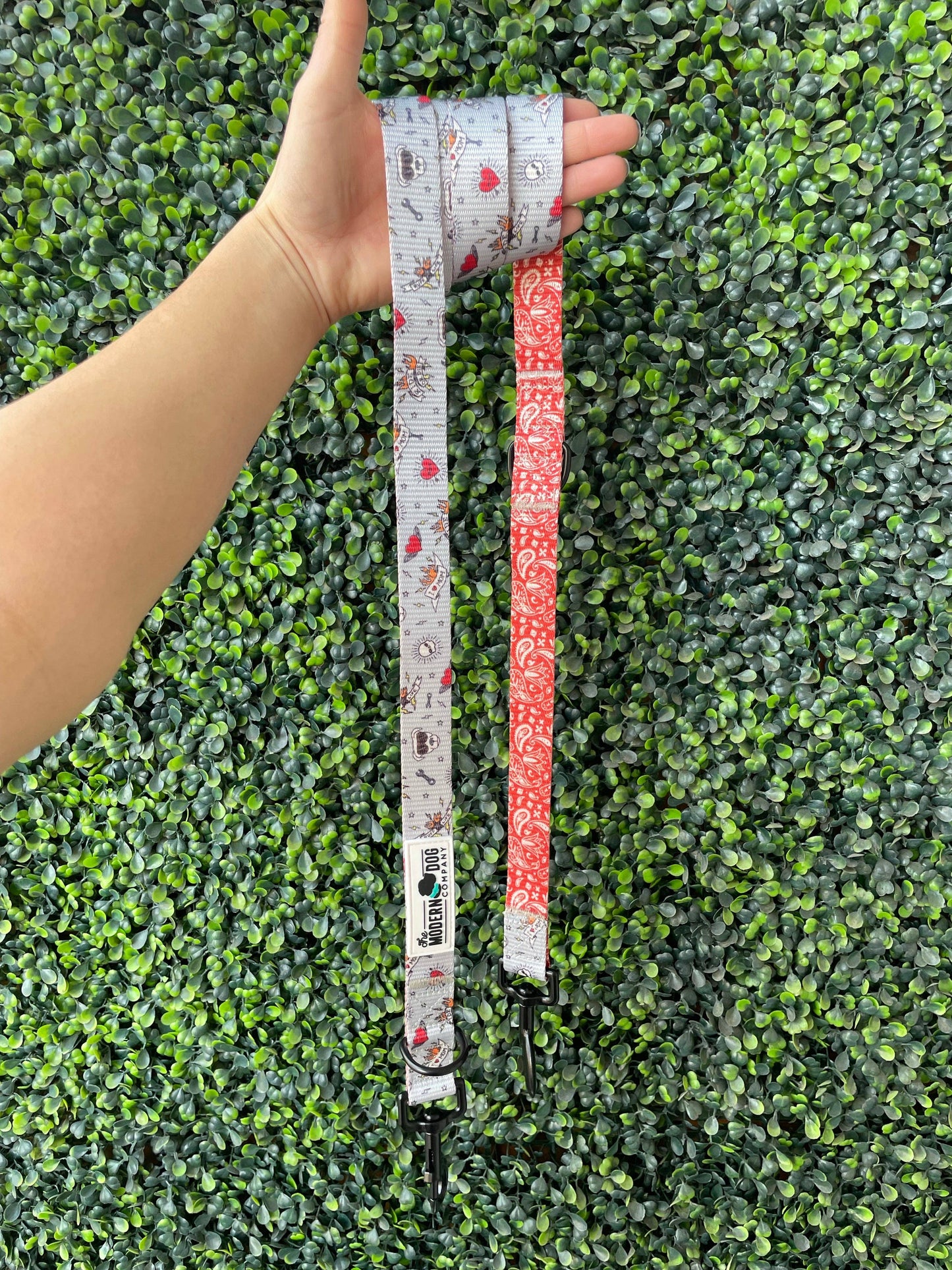 Purrfect Pet Kingdom The Modern Dog Company - Bad to the Bone Leash (Standard) - Premium Dog Leashes