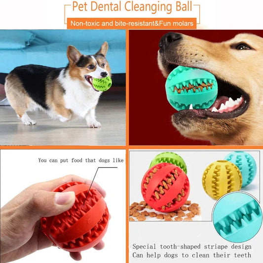 Colorful rubber dog dental balls with spiked ridges that hold treats, shown in red, green, yellow, and teal.