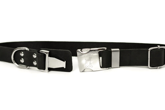 Modern Style Quick - Release Midnight Black Leather Dog Collar - Dog Harnesses - Euro - Dog Collars and Leads