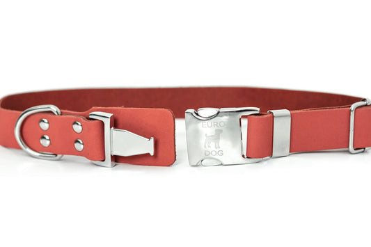 Modern Style Quick - Release Coral Reef Leather Dog Collar - Dog Harnesses - Euro - Dog Collars and Leads