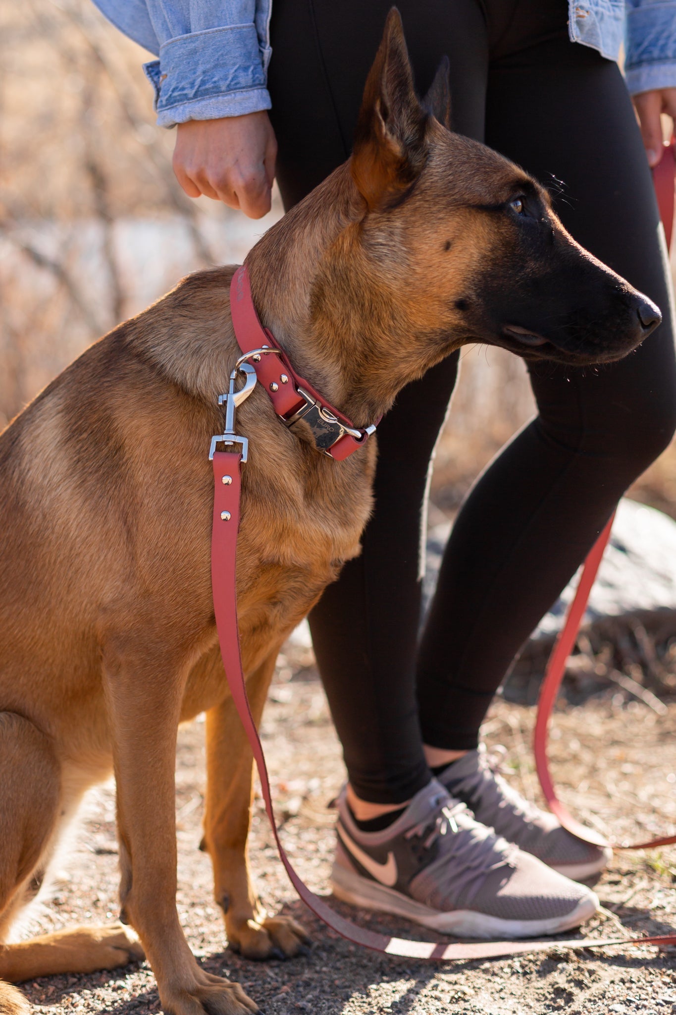 Dog Collar Modern Style Coral Reef Leather Leash for Comfort - detail product image for dog collar