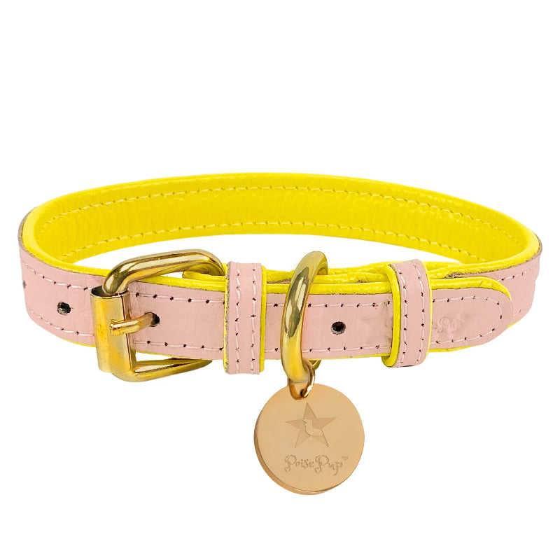 Luxury Leather Dog Collar Sweetest Thing (Pink / Yellow)