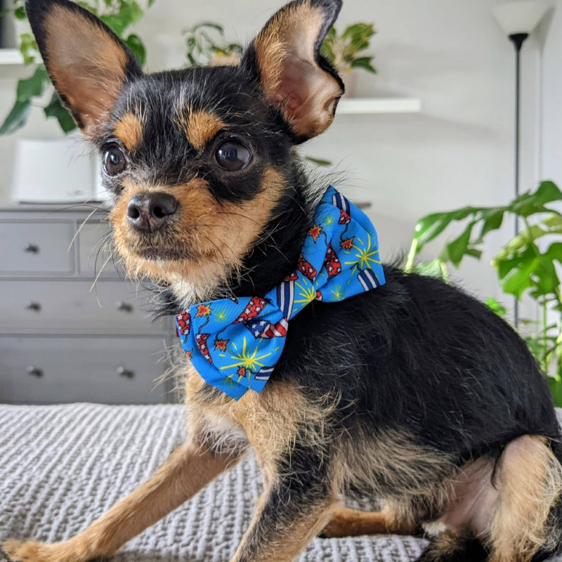 Firecrackers Blue Pet Bow Tie - 2 Sizes