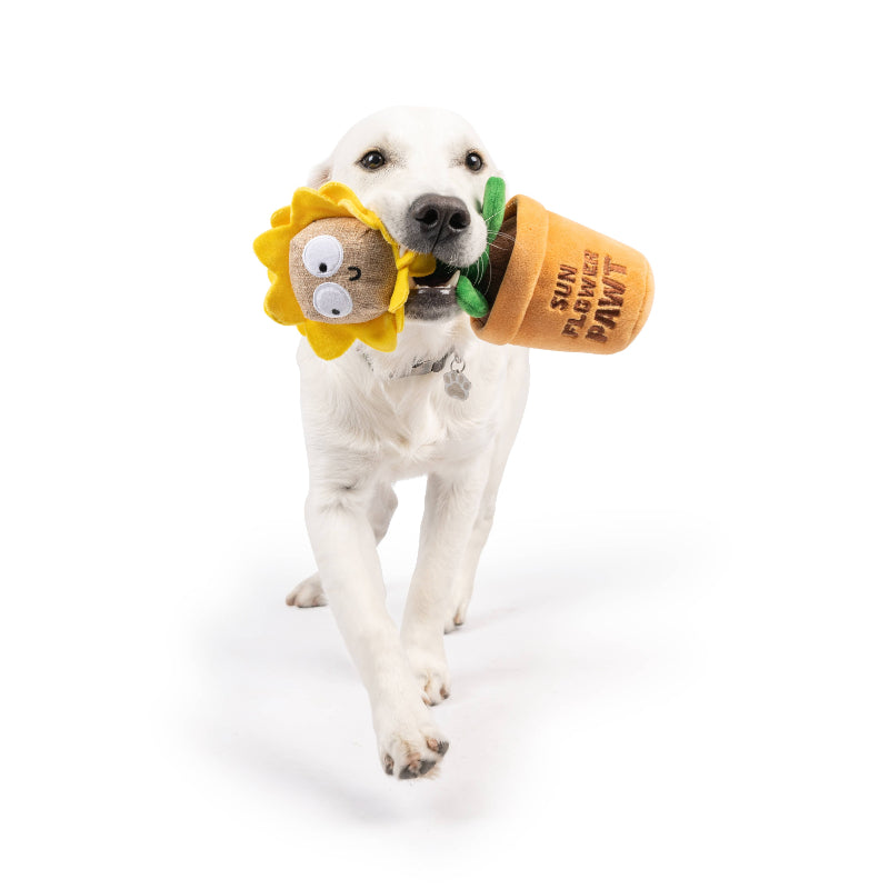 Seek 'n Treat Sunflower Pawt Plush Treat Interactive Dog Toy