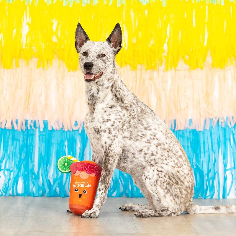 Muttchelada with Lime Adornment Plush Squeaky Dog Toy