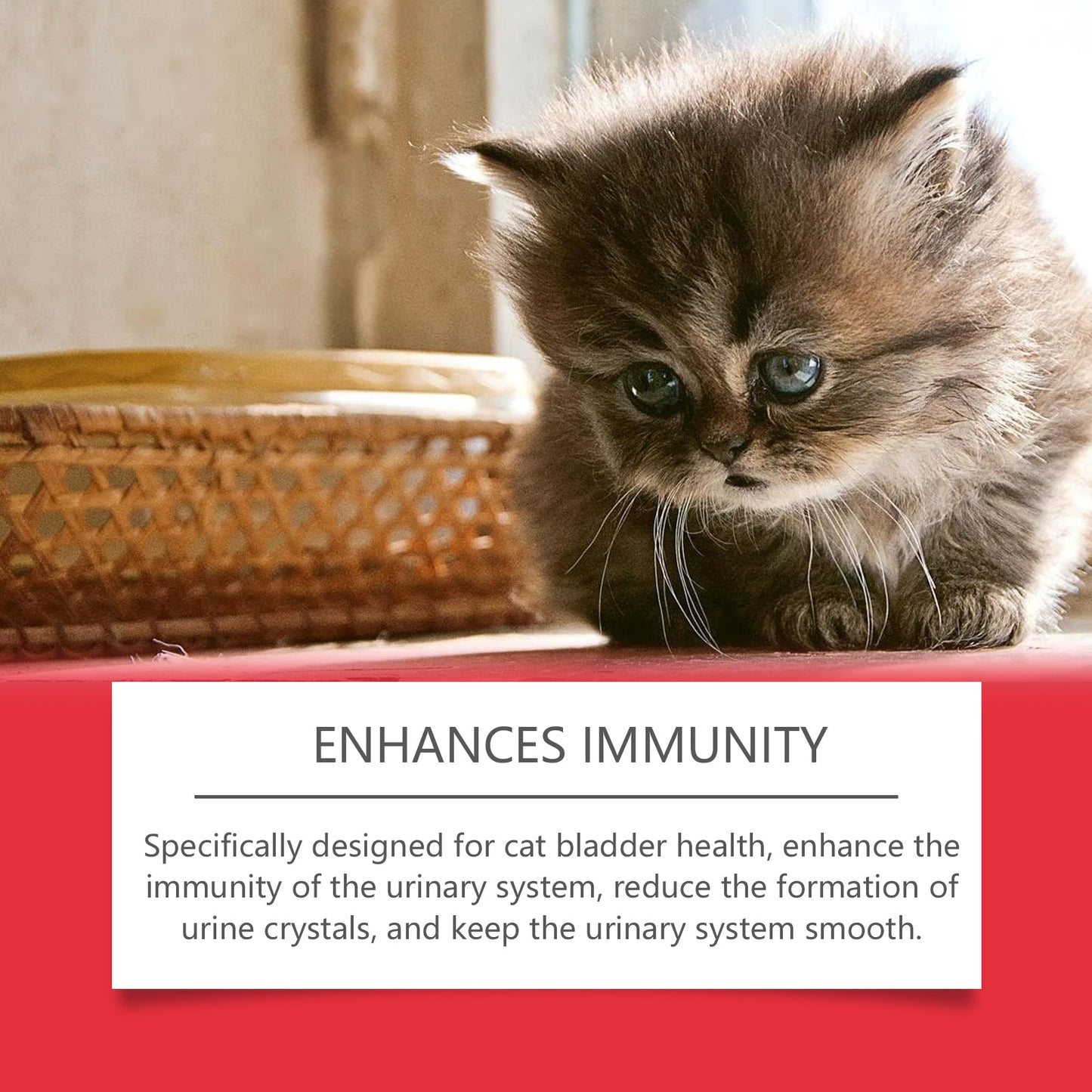 Pet Dietary Supplement, Take Care Of The Pet Body Discomfort Cat To Absorb Nutritional Supplements - Purrfect Pet Kingdom