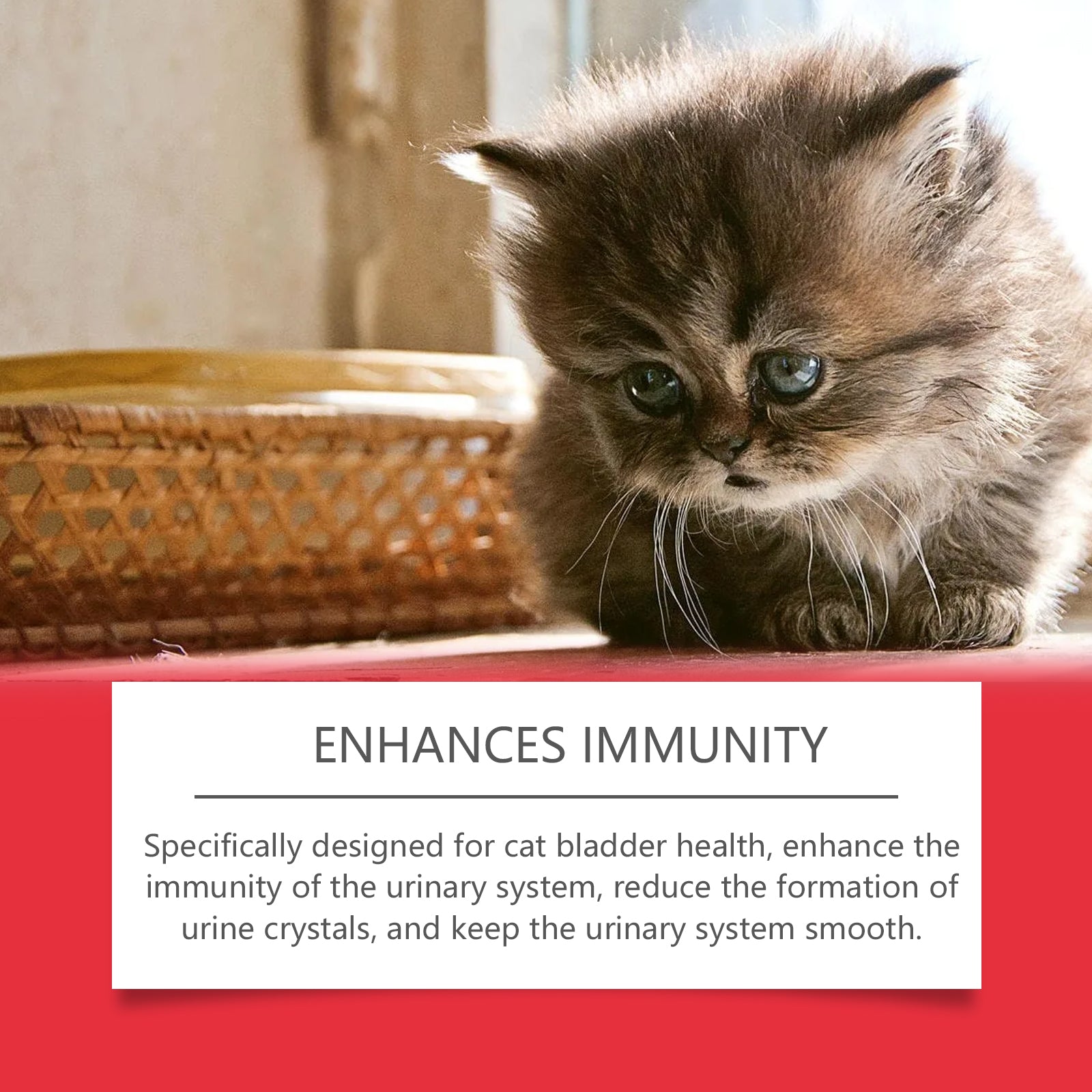 Pet Dietary Supplement, Take Care Of The Pet Body Discomfort Cat To Absorb Nutritional Supplements - Purrfect Pet Kingdom