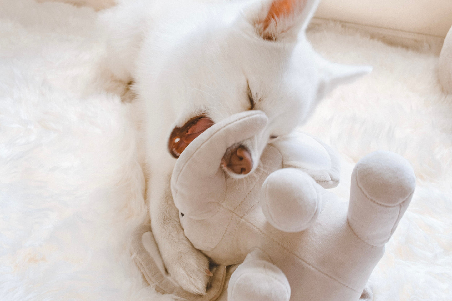 Ella Plushie - Pet Toy - Elise Galleria