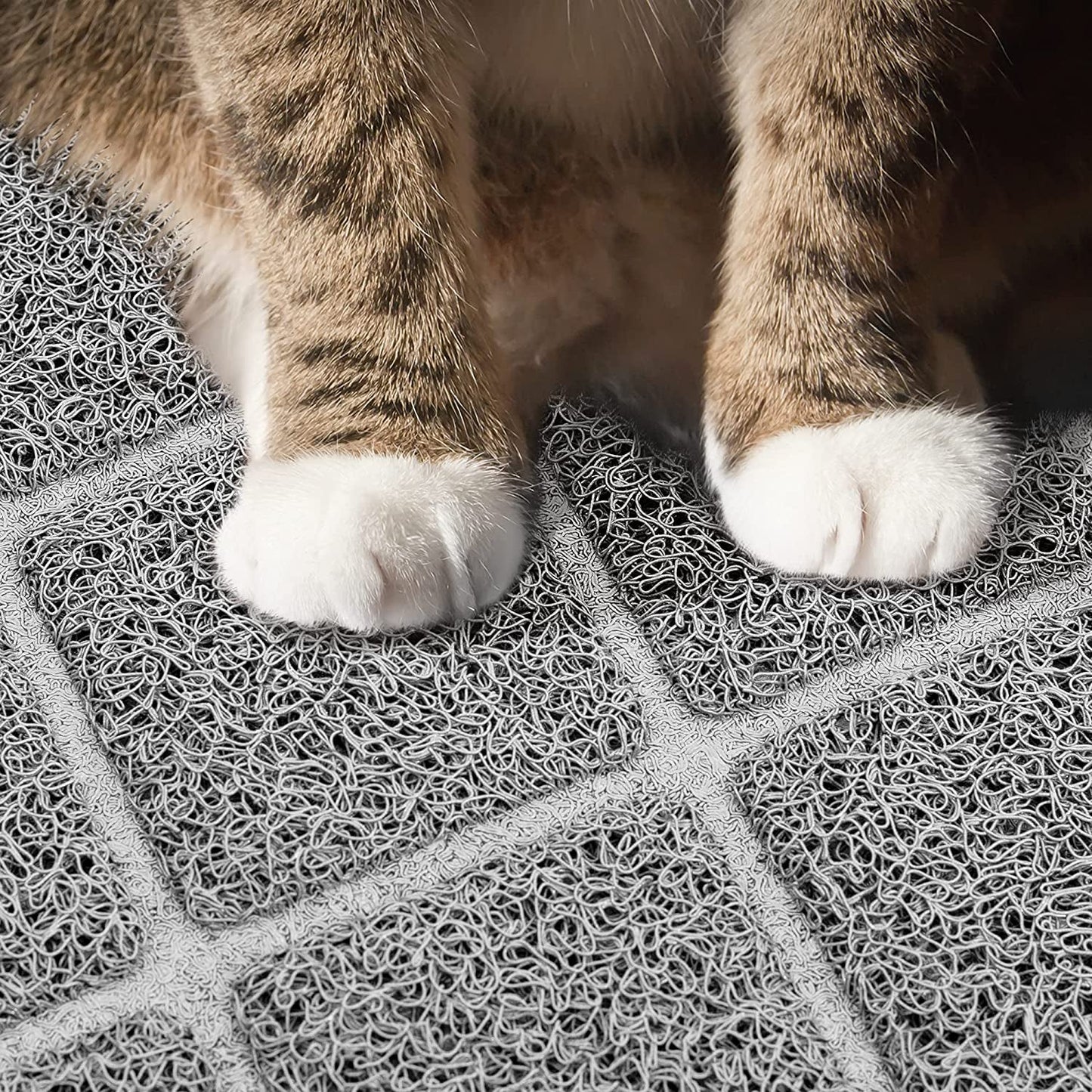 Cat Litter Mat Waterproof Non-Slip Traps Litter ๐ฑ