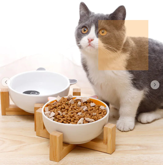 Modern Ergonomic Ceramic Pet Bowl for Cats and Small Dogs