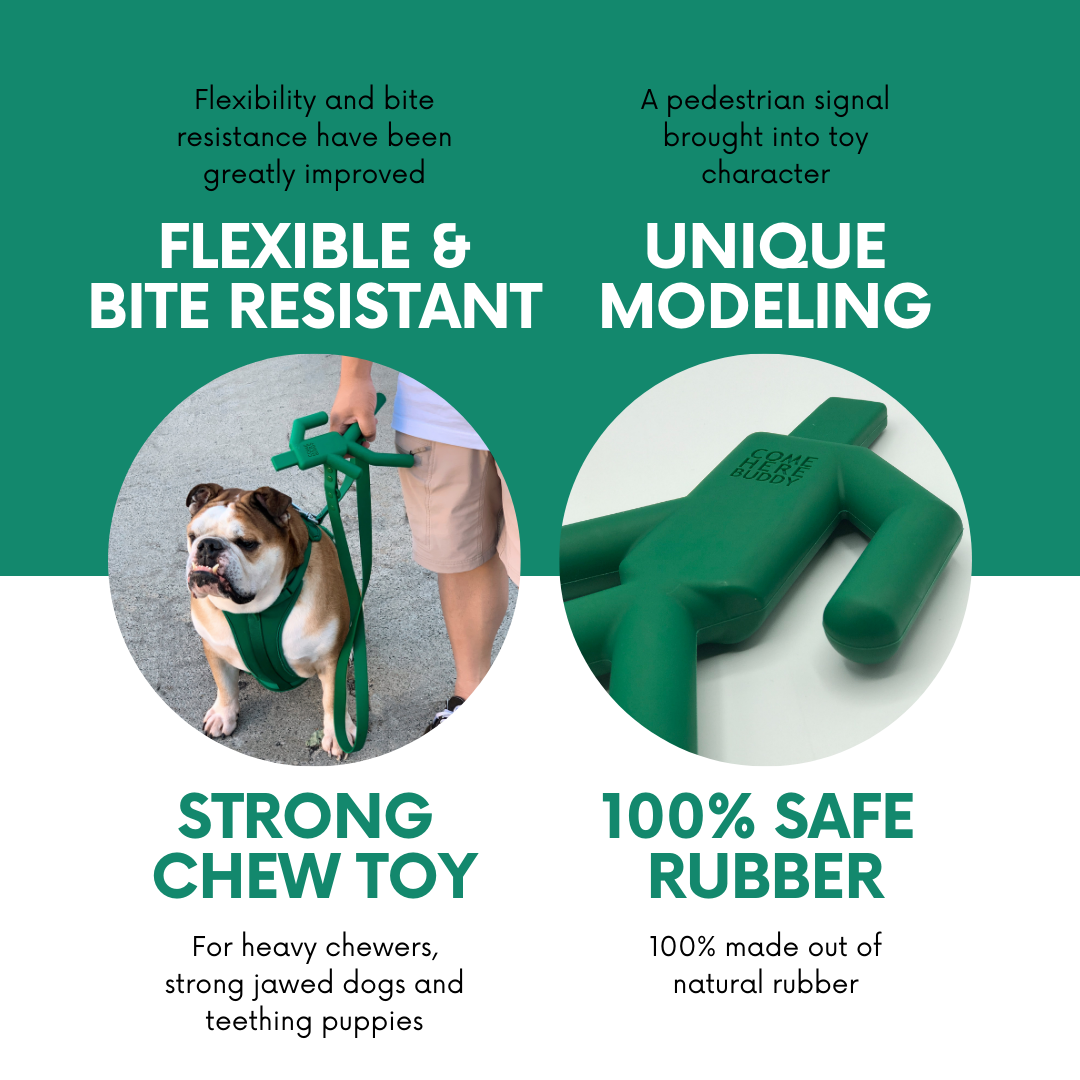 Dog Chew Toy - dog chew toys - Come Here Buddy