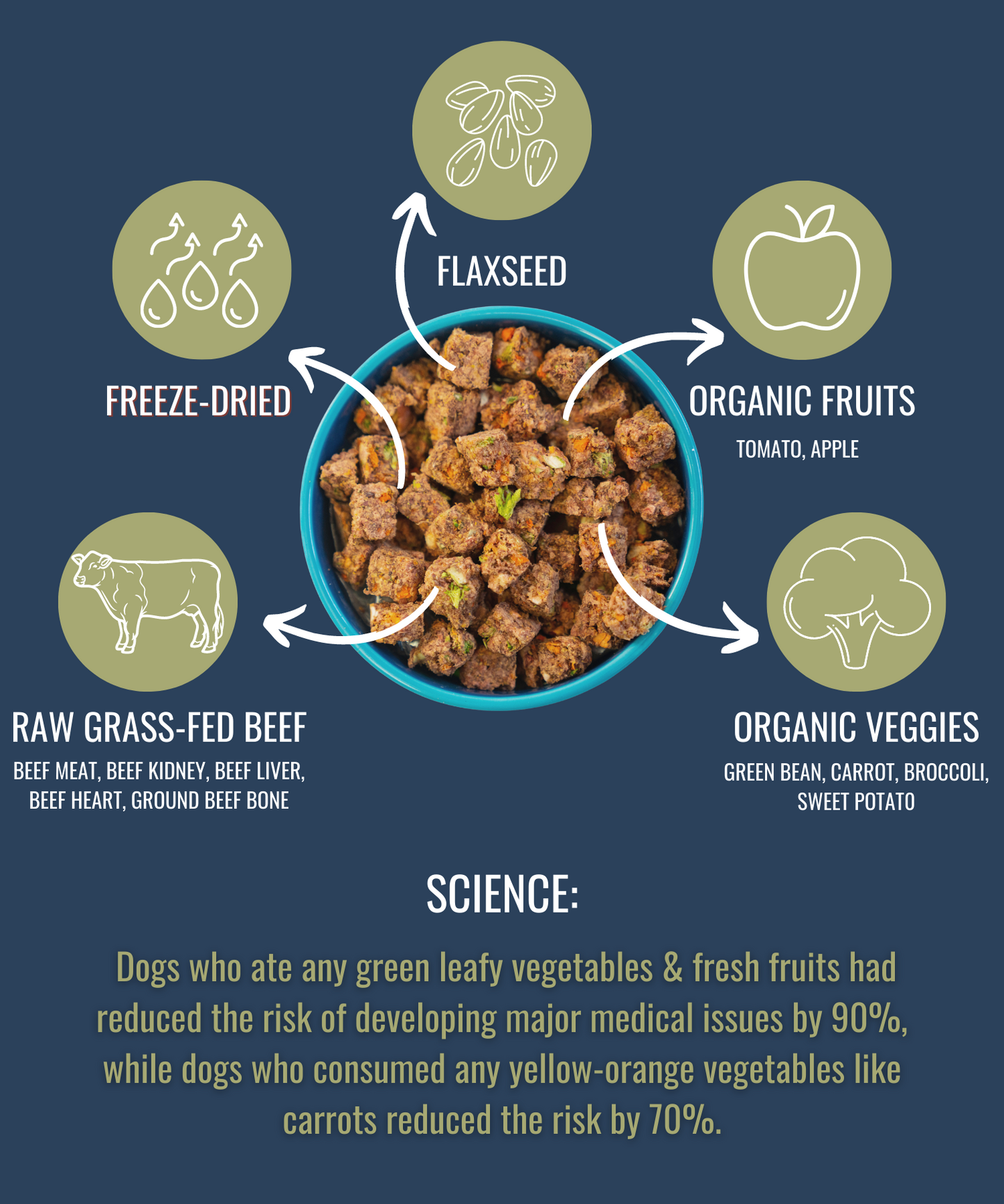 Dog Food Freeze Dried Raw Beef 16oz Premium ๐