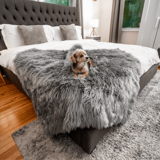 Pupprotector Waterproof Throw Blanket Charcoal Grey Pet Bed - detail view