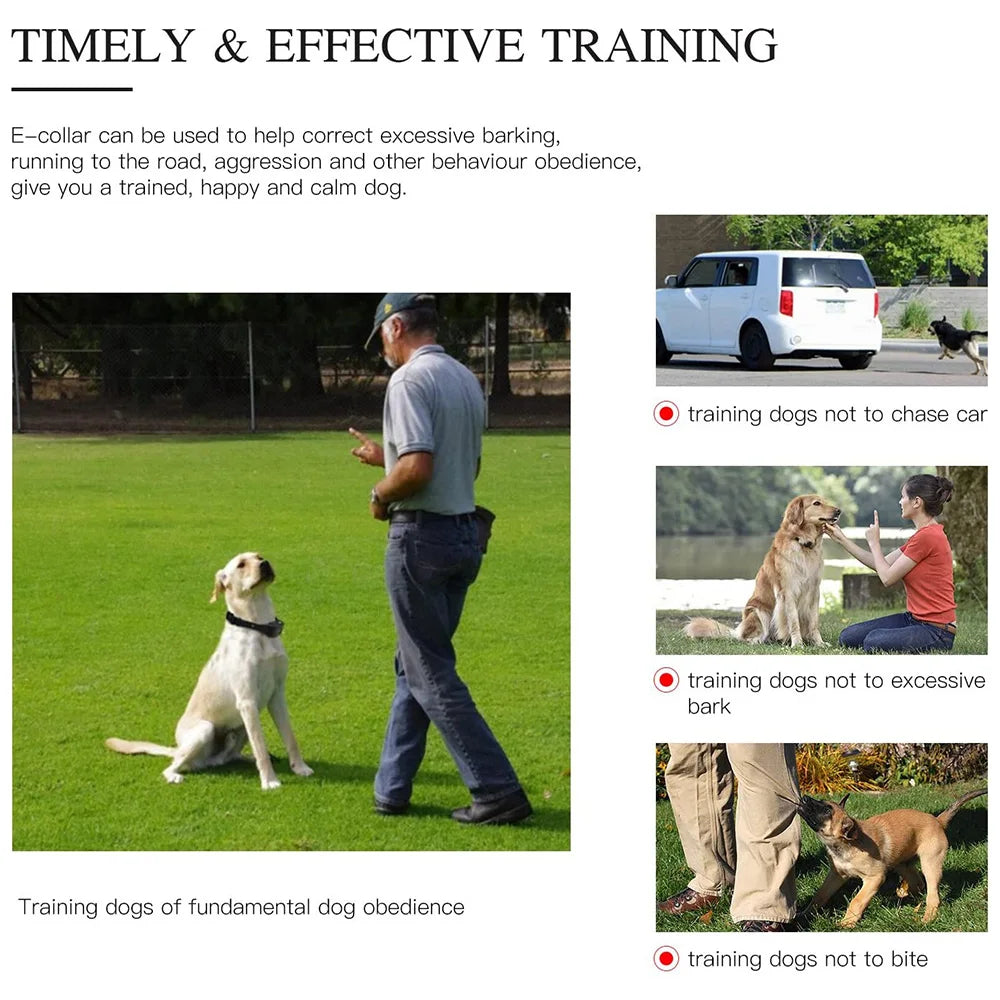 800m Digital Dog Training Collar - Premium LCD Control System ๐ฑ