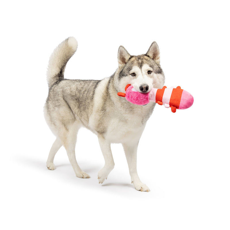 Fetchies Love Bug Plush Dog Toy