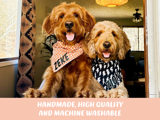 Wild One Birthday Dog Bandana