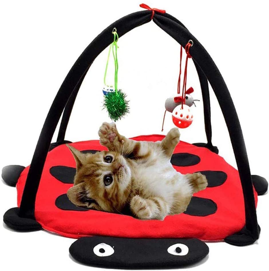 Black Ladybug Cat Play Mat - Purrfect Pet Kingdom
