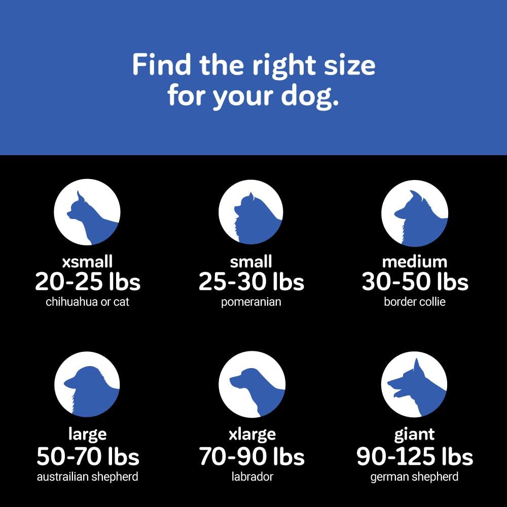 Petmate Aspen Mat Self - Warm Blaster 16x19 - Rectangle Dog Beds - The Family Pet