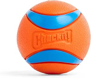 ChuckIt Dog Ultra Ball 1 Pack - dog toy - The Family Pet