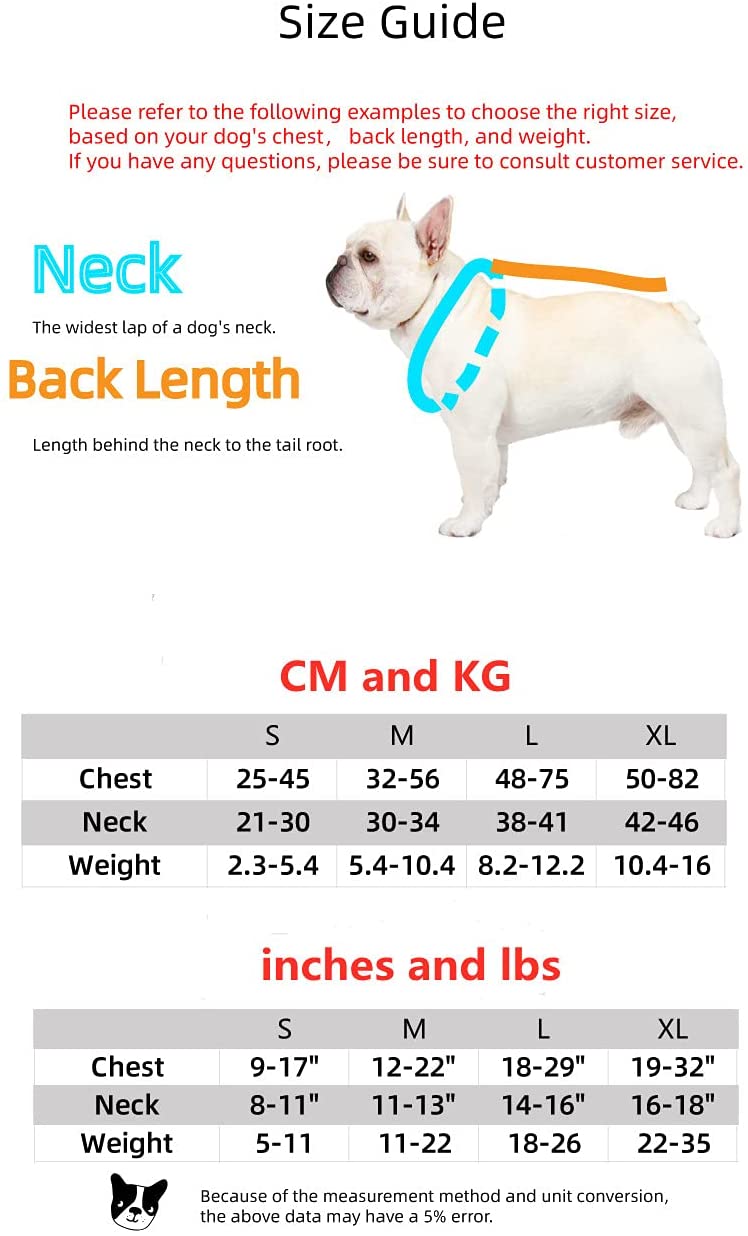 Luxury Red Lips Breathable Mesh Harness Chest Back + Traction - Purrfect Pet Kingdom