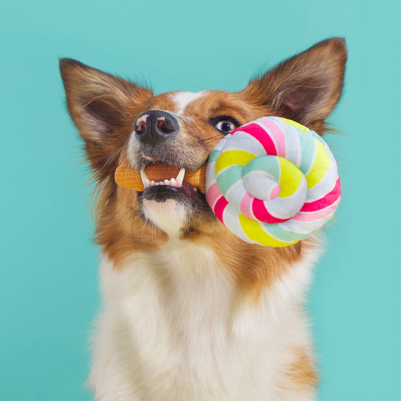 Lolly Palooza Plush Dog Toy Set - 2 Pc