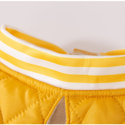 For Autumn And Winter, Large Dog Breeds Such As Golden