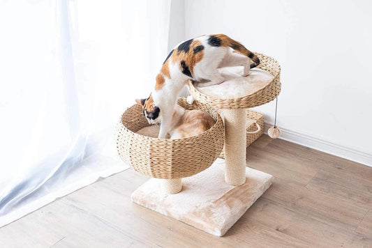 PetPals Cozy Cat Tree – Eco-Friendly, Stylish & Fun for Your