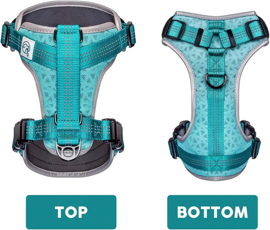 Embark Sports Dog Harness, Dog Harness for Large Dogs No Pull with Light and Breathable Design - Easy on and Off, No Pull Training, Size Adjustable, Non Choke with Handle for Control. Teal Vest