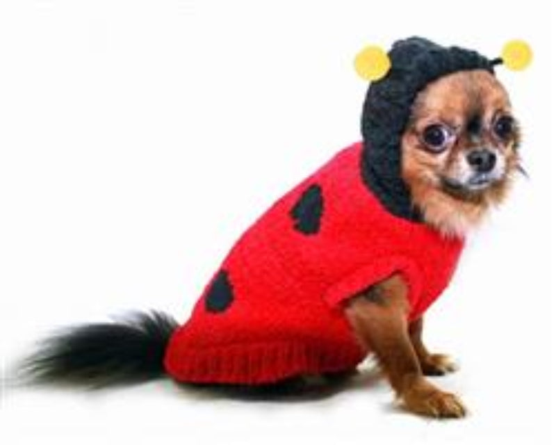 Chenille Red Lady Bug Dog Sweater