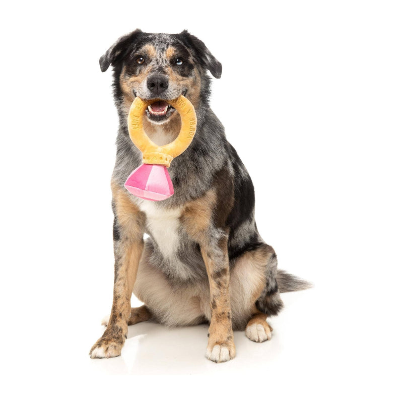 Diamond In The Ruff Pink Ring Plush Dog Toy